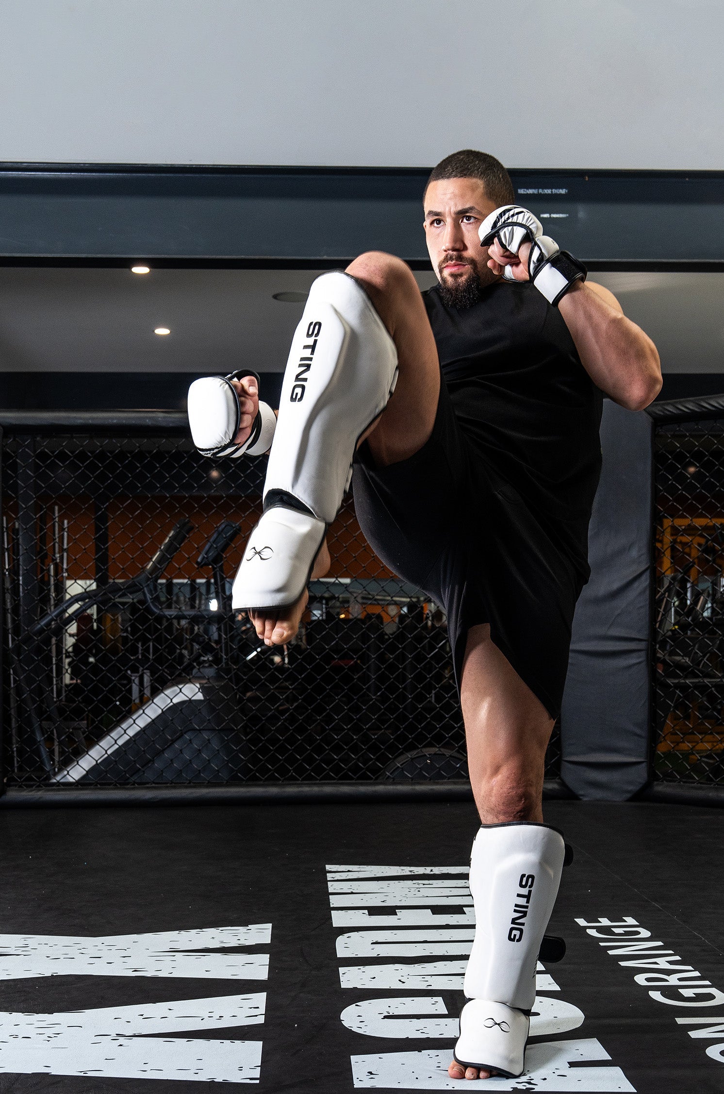 Python MMA Shin & Foot Protector