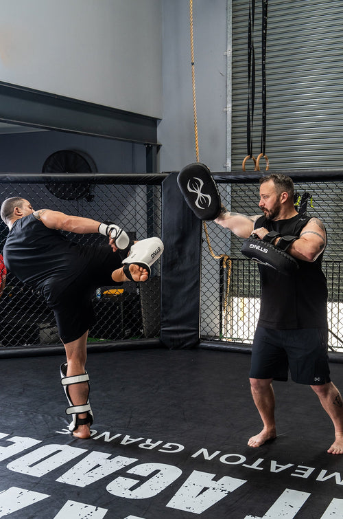 Python Thai Kick Pads