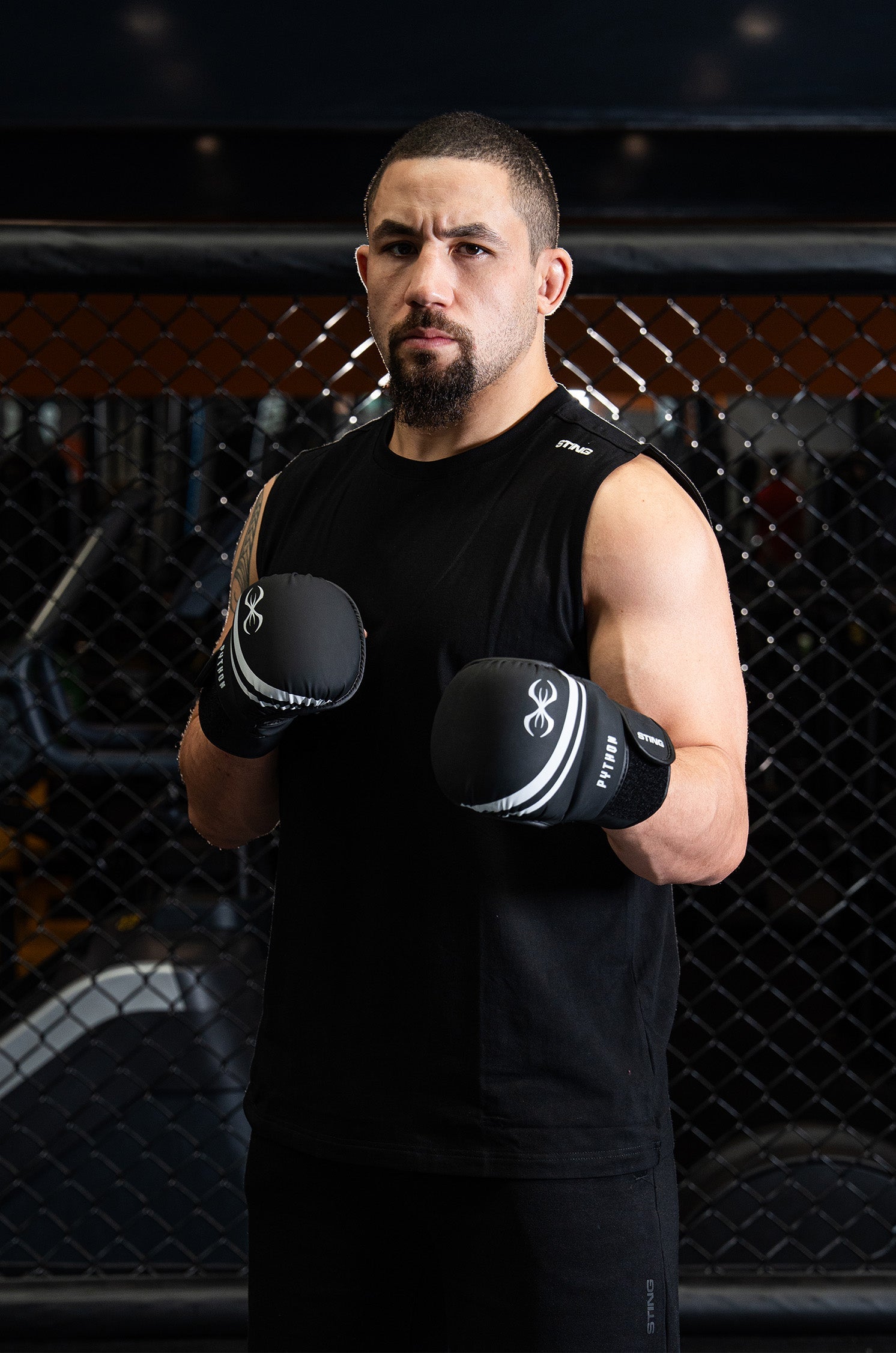 Python MMA Sparring Gloves