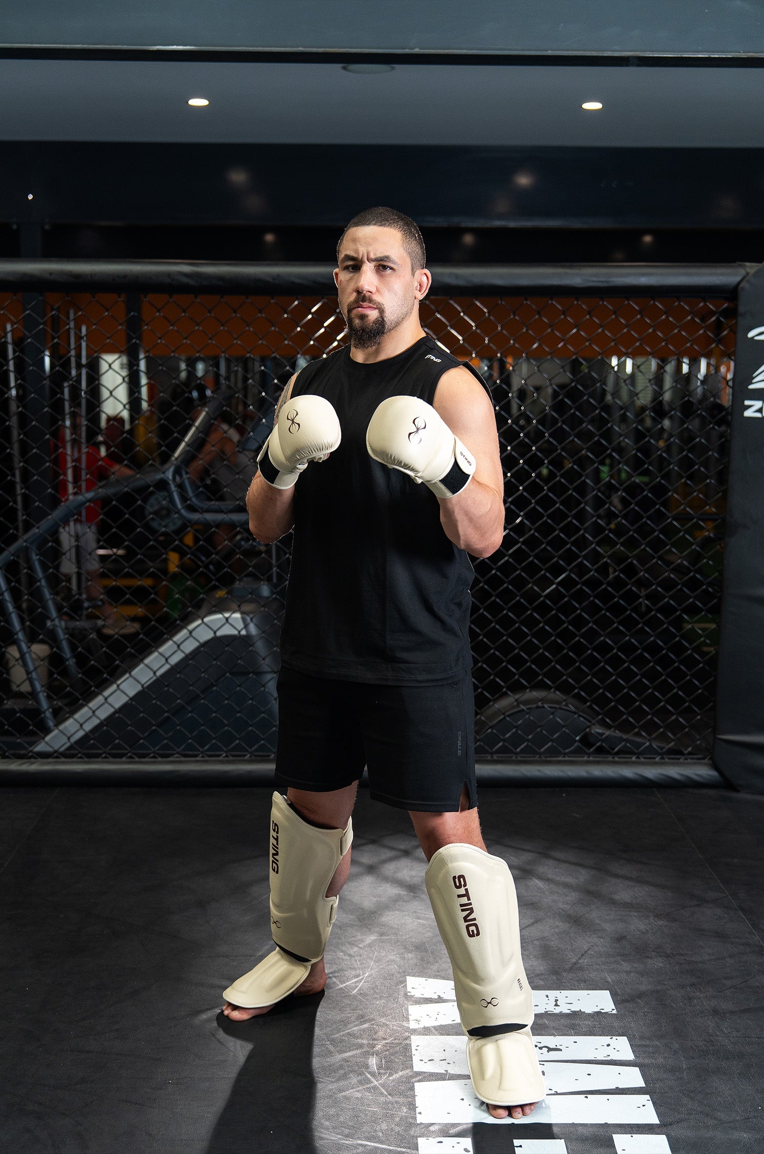 Taipan MMA Sparring Gloves