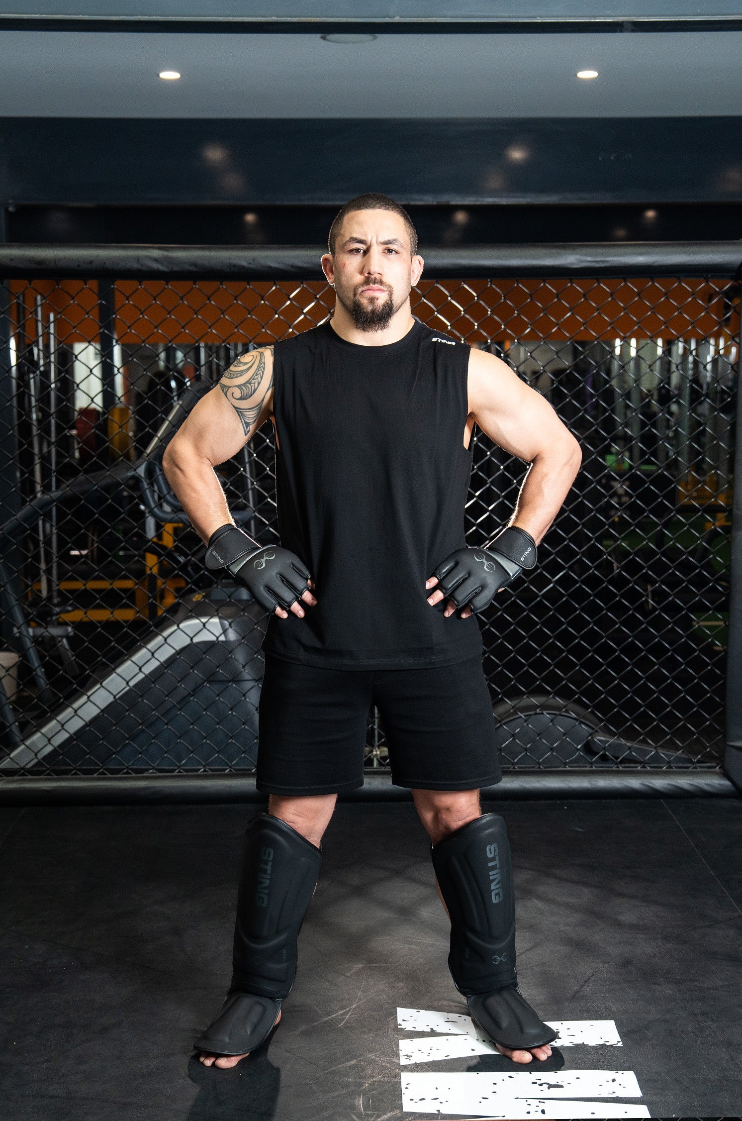 Taipan MMA Fight Gloves