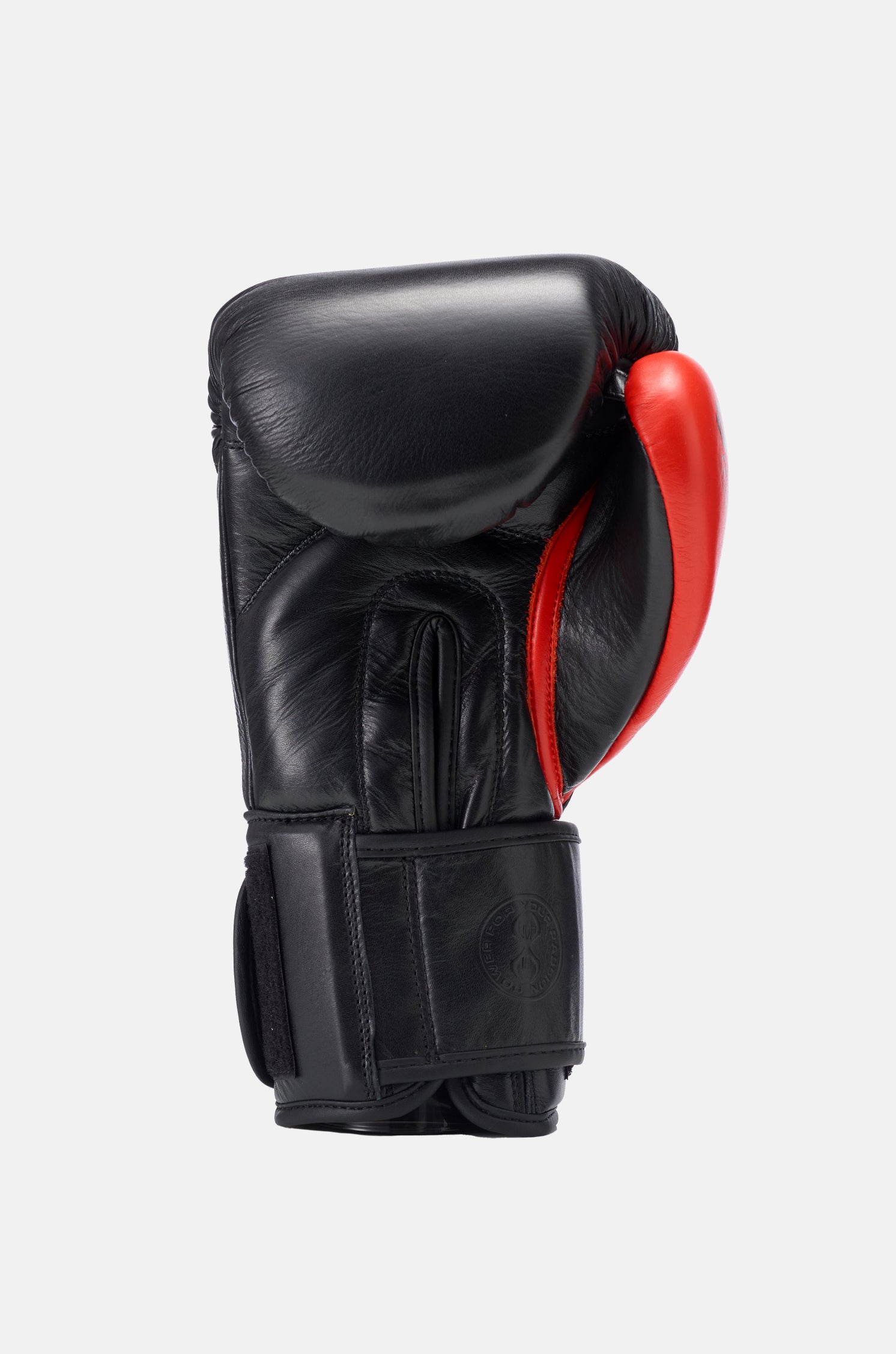 Evolution Boxing Gloves