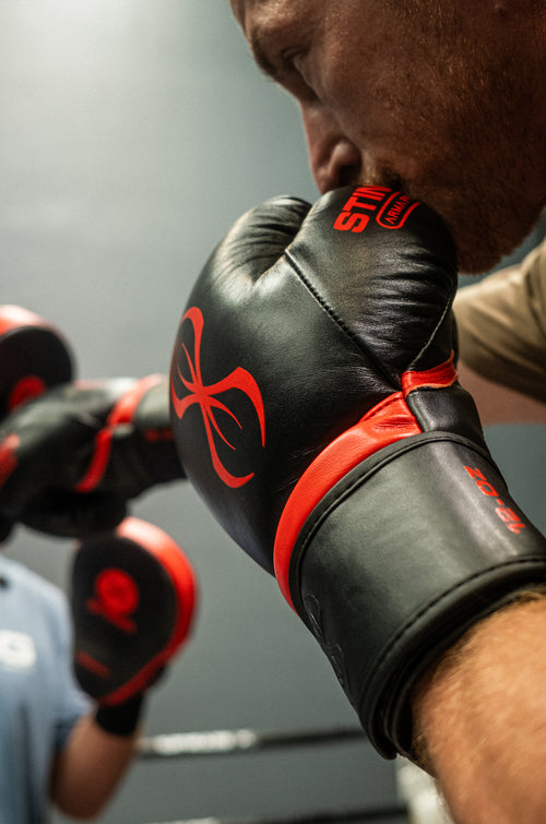 Armapro Boxing Gloves