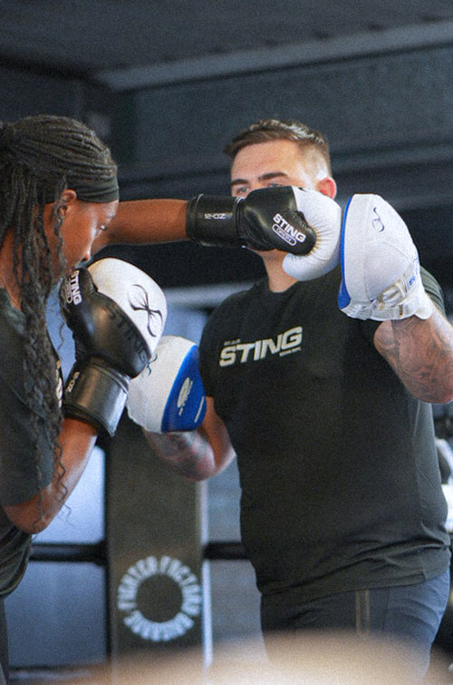 Orion Boxing Gloves