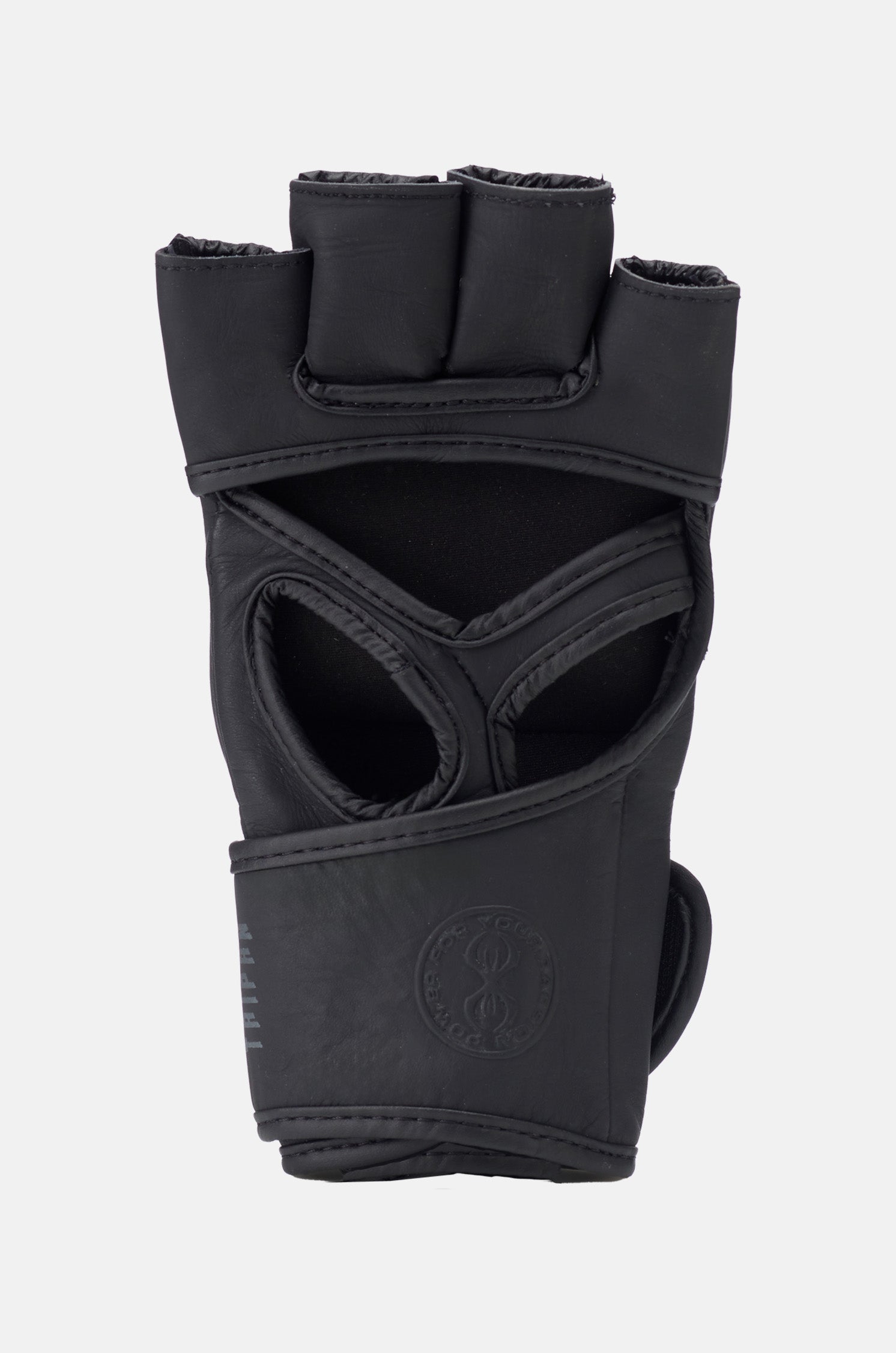 Taipan MMA Fight Gloves