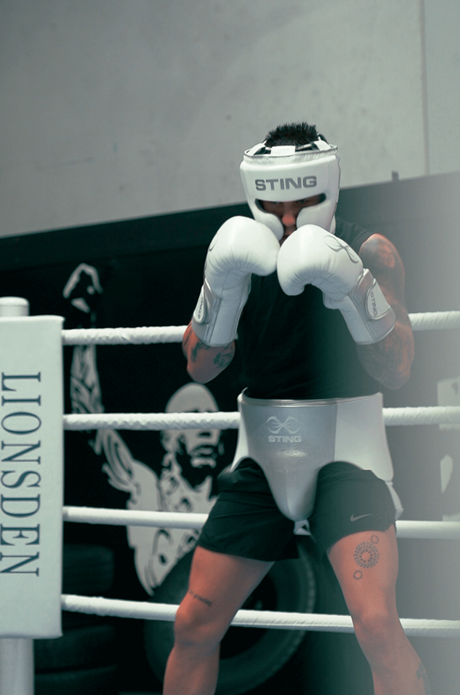 Viper X Sparring Gloves