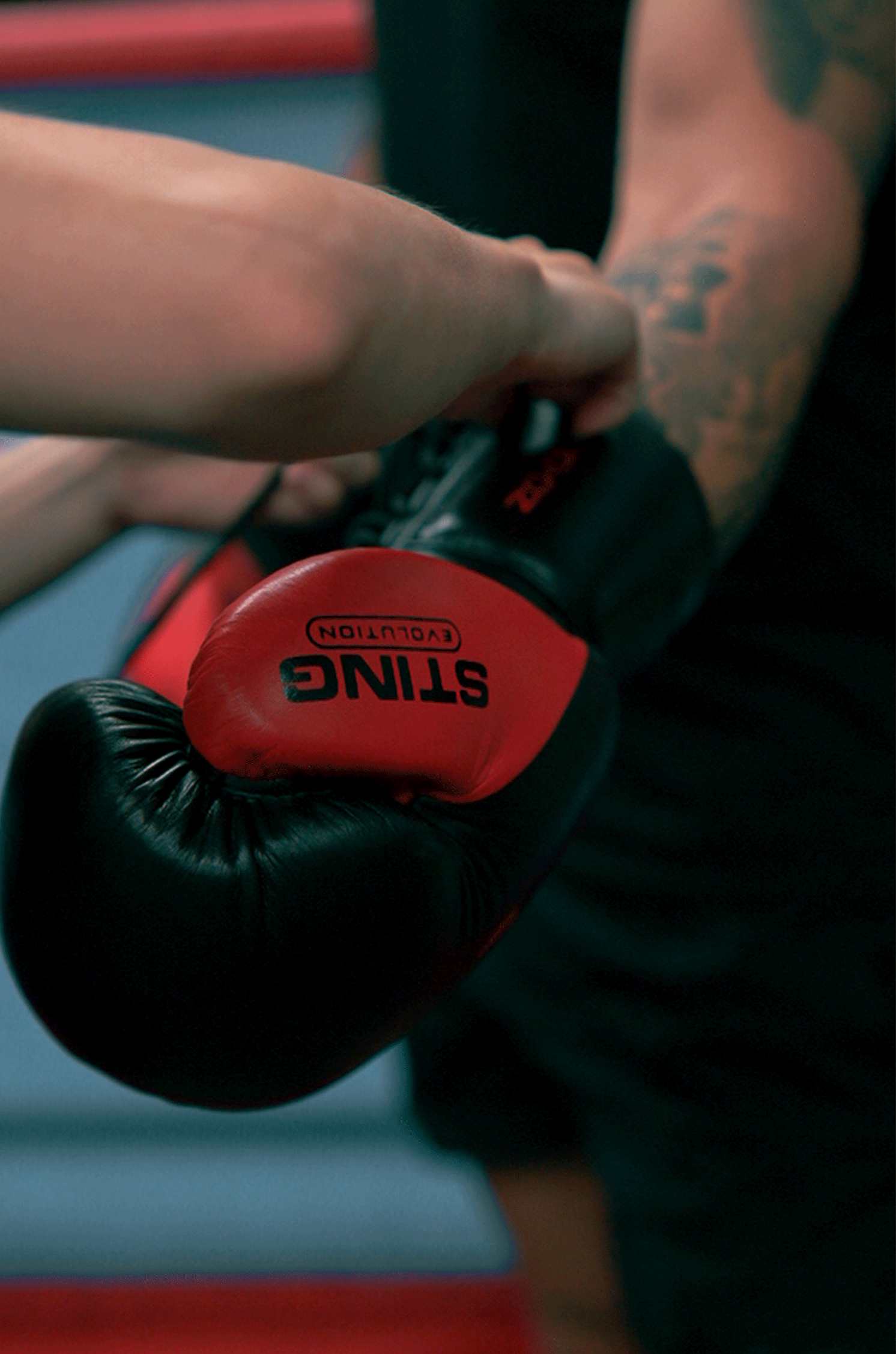 Evolution Fight Gloves