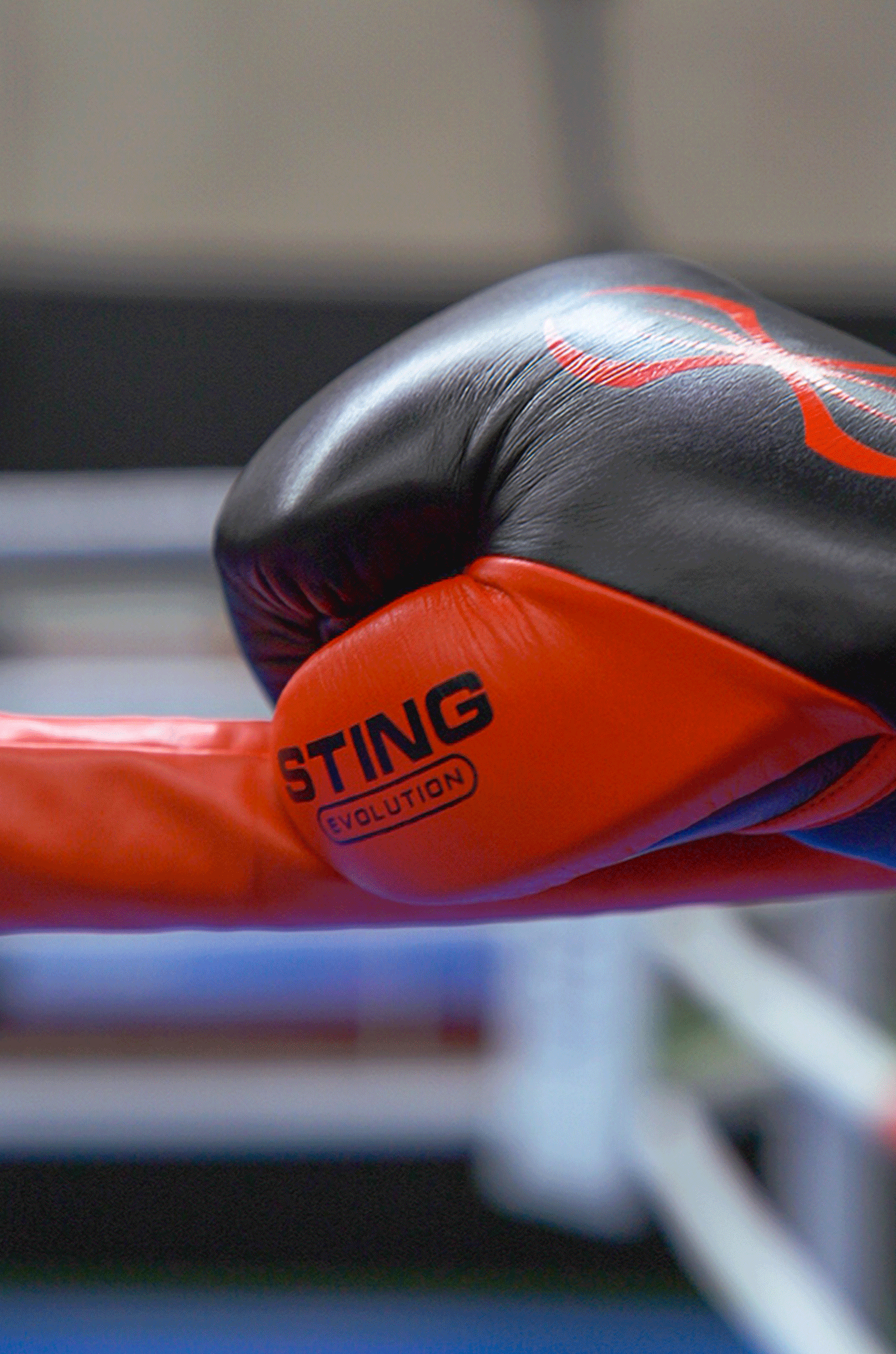 Evolution Fight Gloves