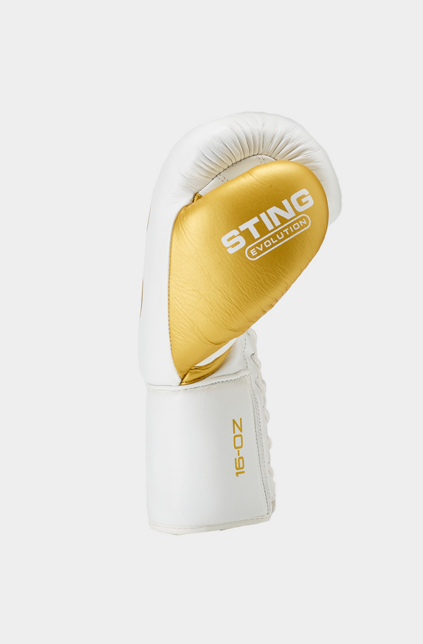 Evolution Fight Gloves