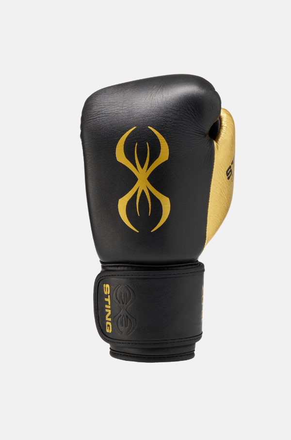 Evolution Boxing Gloves