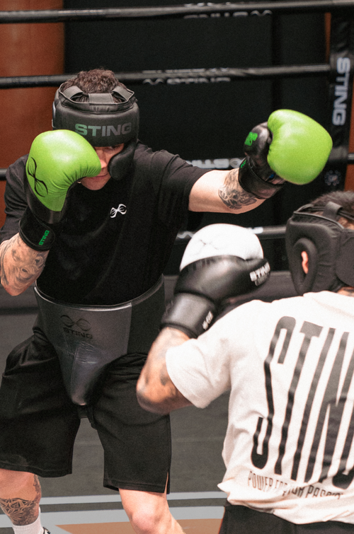 Orion Boxing Gloves