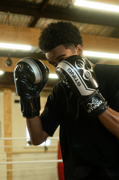 Armalite Boxing Gloves-Black/Silver