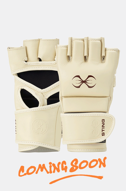 Taipan MMA Fight Gloves